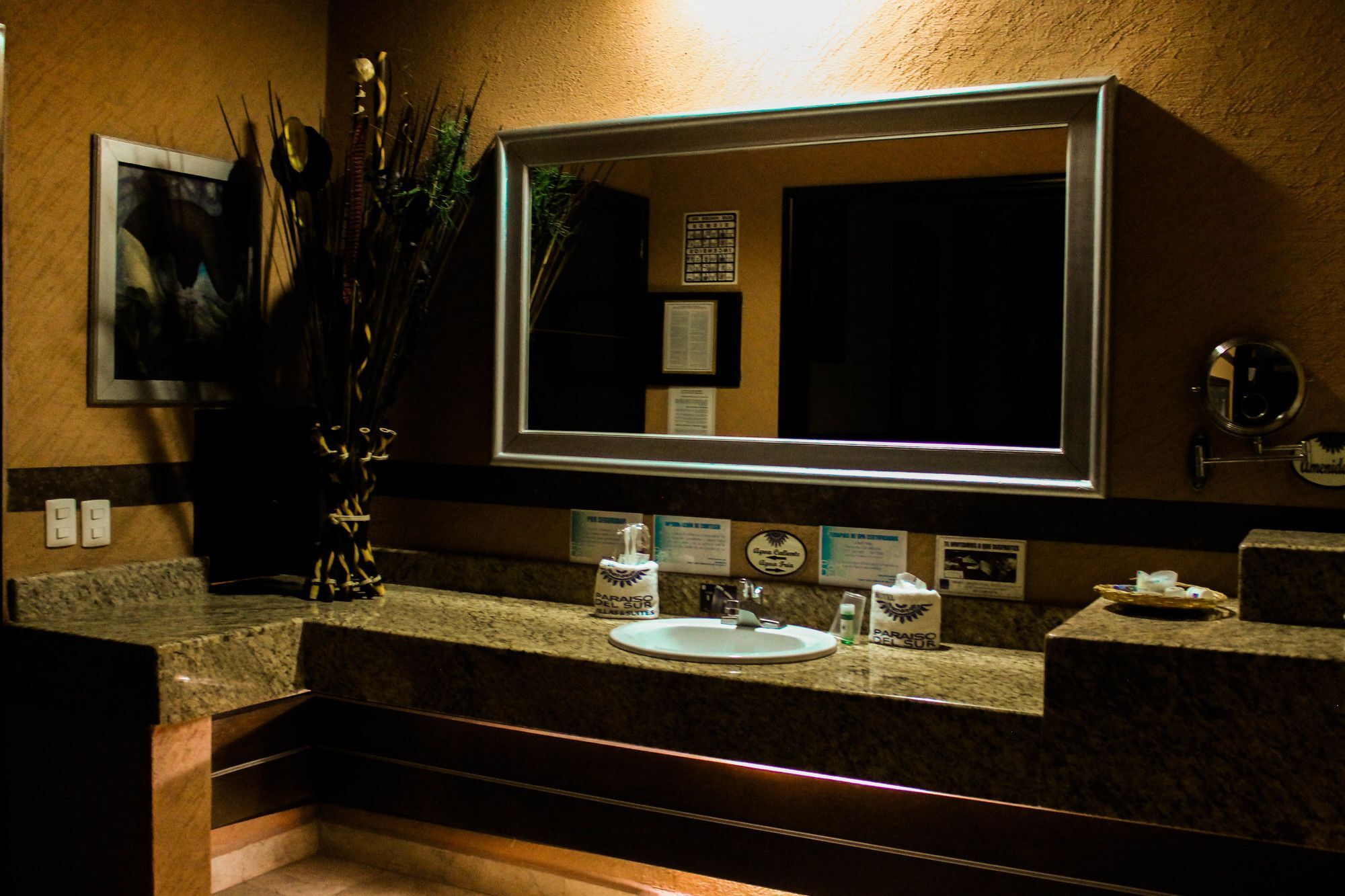 Villas Y Suites Paraiso Del Sur クエルナバカ エクステリア 写真